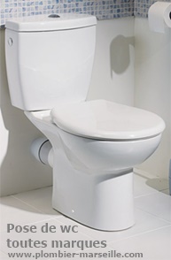 exemple de devis remplacement wc